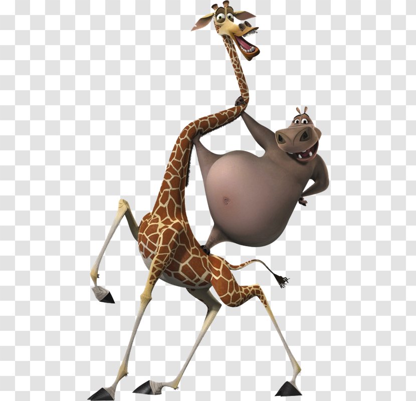 Gloria Melman Alex Madagascar Film - Giraffidae - Vbs Transparent PNG