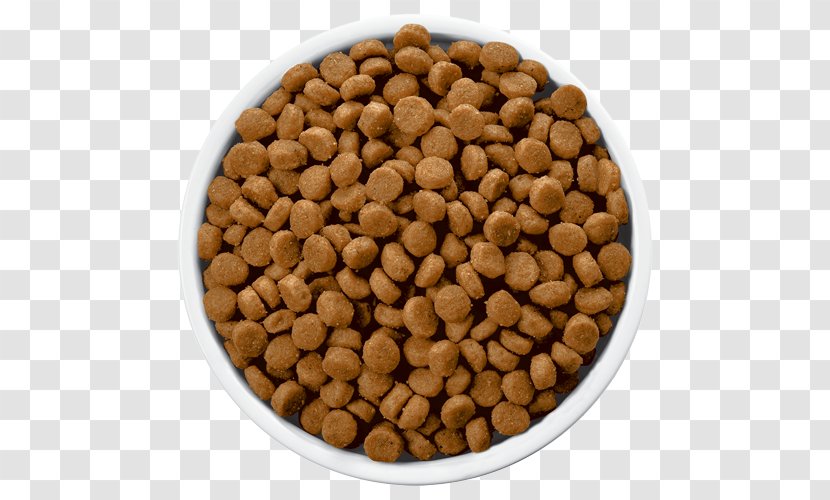 Dog Food Hill's Pet Nutrition Veterinarian - Chocolate Coated Peanut Transparent PNG