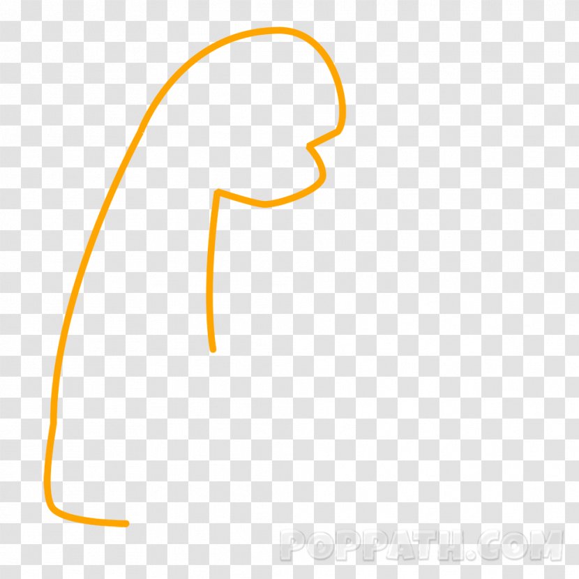 Circle Angle - Yellow - Biceps Transparent PNG