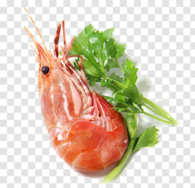 Caridea Shrimp U7261u4e39u867e - Garnish - Frozen Cooked Imports Peony Transparent PNG