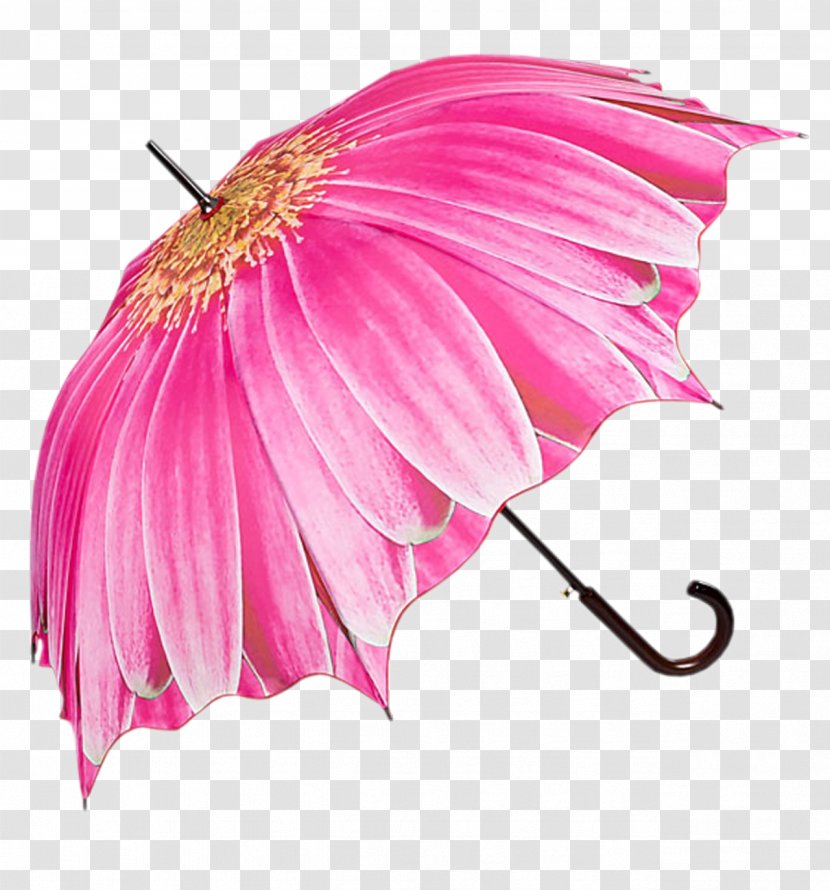 Umbrella Cover Museum Clothing Accessories Rain Blume - Regenbekleidung - Flowers Transparent PNG