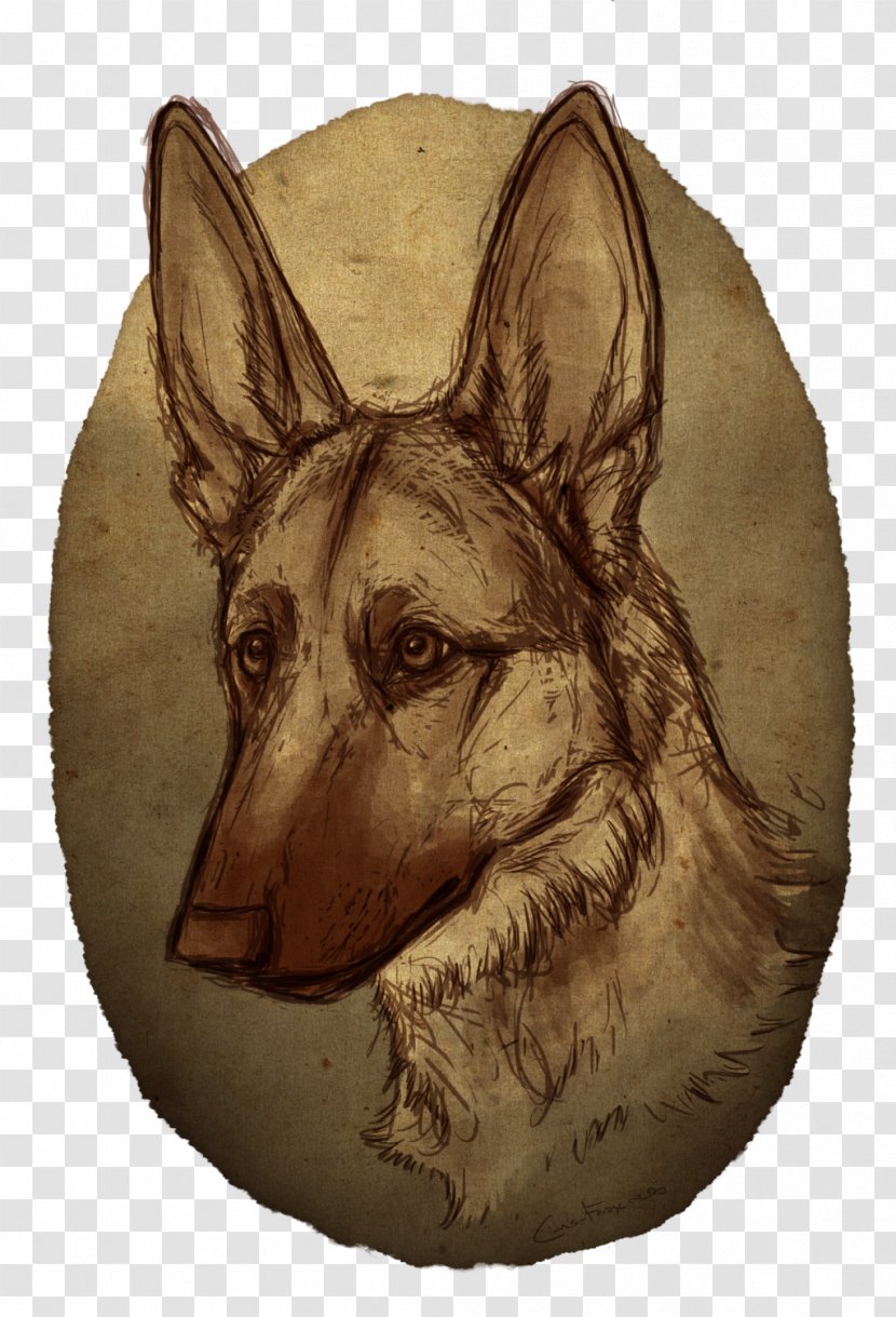 Dog Breed German Shepherd Drawing Snout Transparent PNG