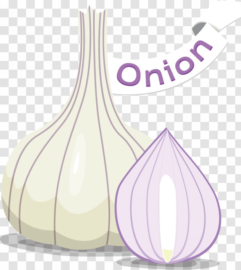 Garlic Onion Vegetable - Vegetables Vector Material Transparent PNG