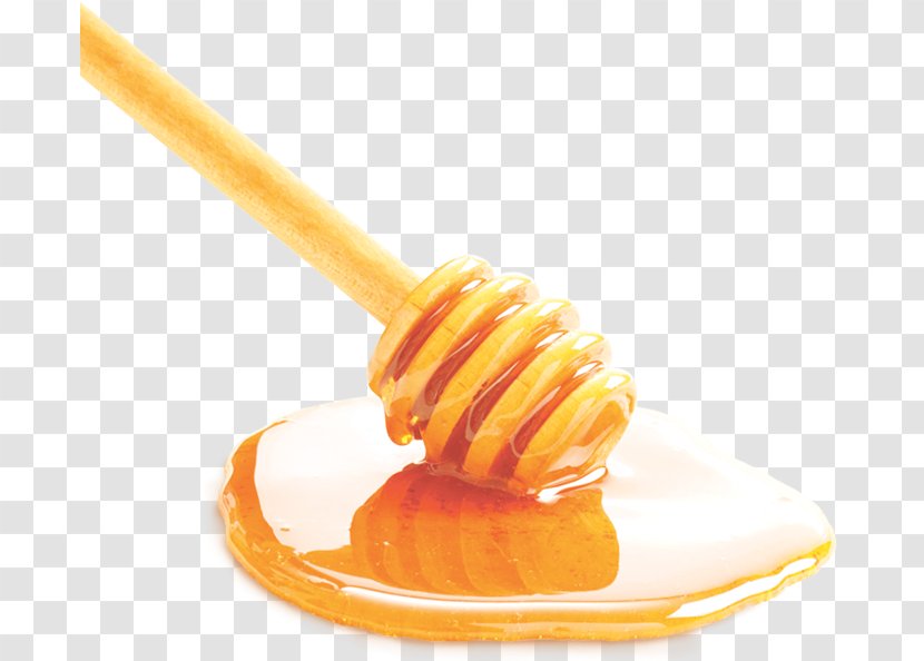 Robusta Coffee Honey Ingredient Arabica Transparent PNG