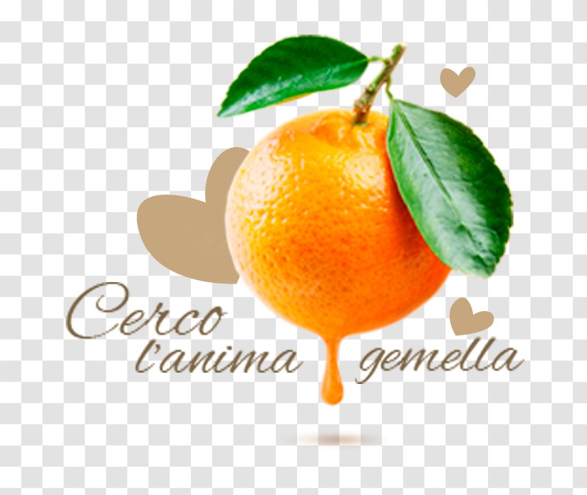 Orange Juice Mandarin Clementine Fruit Transparent PNG