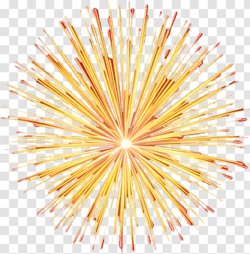 Adobe Fireworks Clip Art - Lighting - Firework Transparent PNG