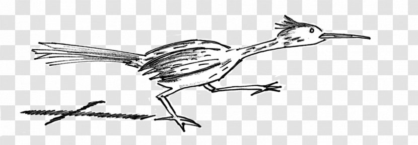 Bird Cartoon - Beak - Wildlife Jewellery Transparent PNG