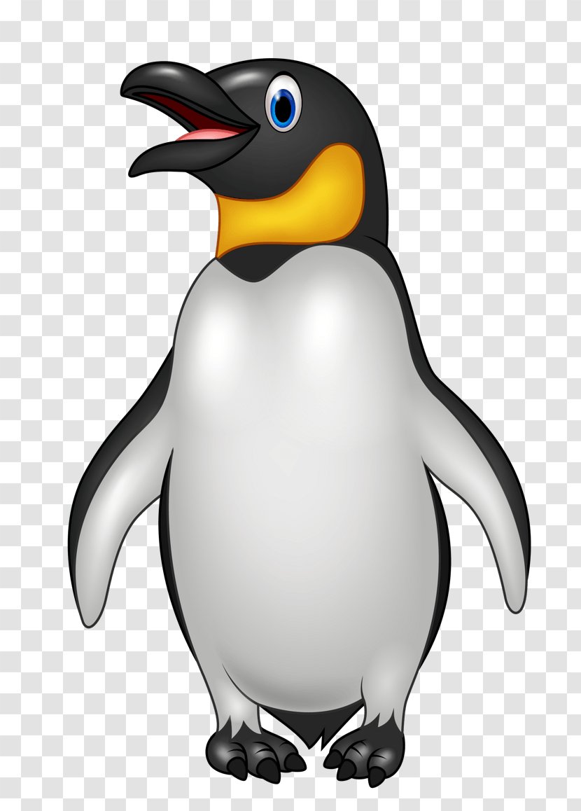 Penguin Royalty-free Stock Illustration Vector Graphics Photography - Vertebrate - Gif Transparent PNG