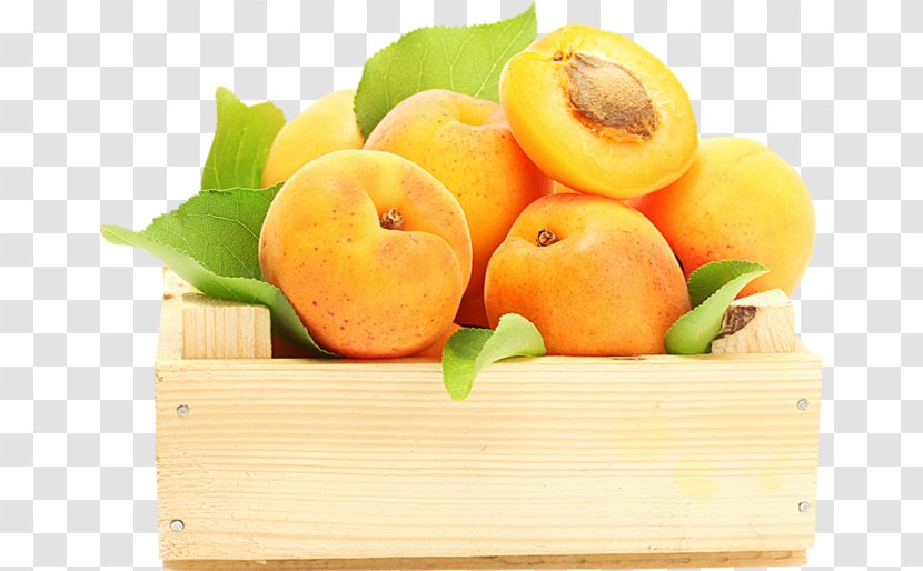 Apricot Fruit Food Peach Berry - Citrus Transparent PNG