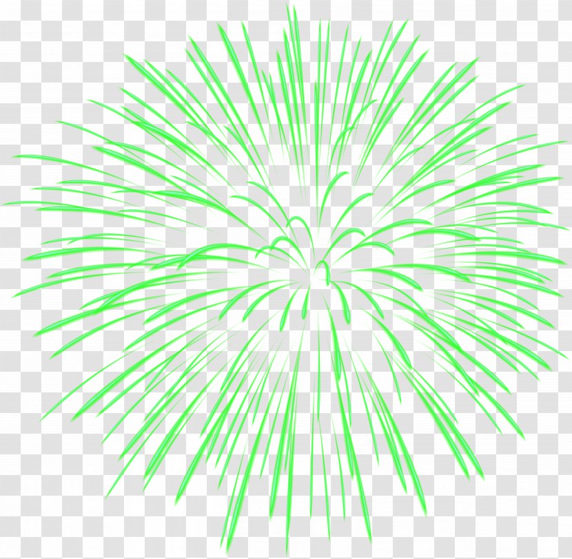 Image File Formats Lossless Compression - Sky - Green Firework Transparent Transparent PNG