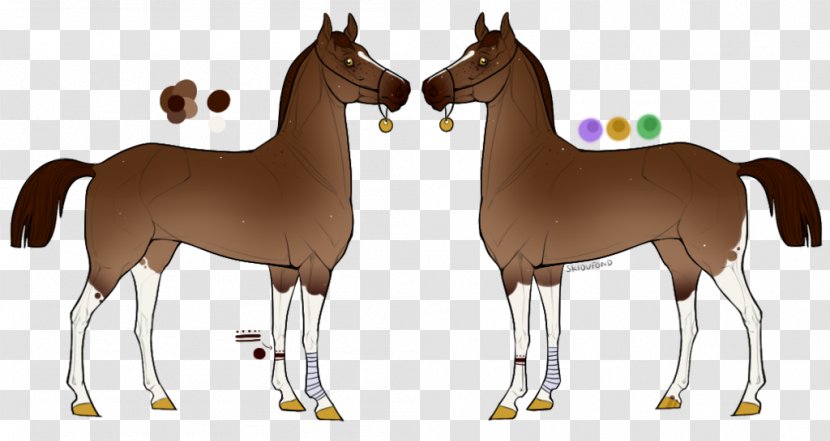 Foal Mustang Camel Stallion Halter - Heart Transparent PNG