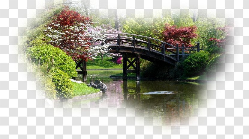 Botanical Garden Blog Landscape German Spitz - Flora - Internet Forum Transparent PNG