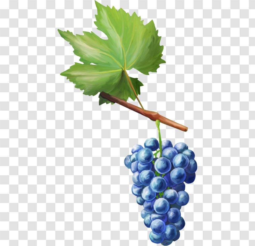 Grape Decoupage Fruit Auglis - Grapevines Transparent PNG