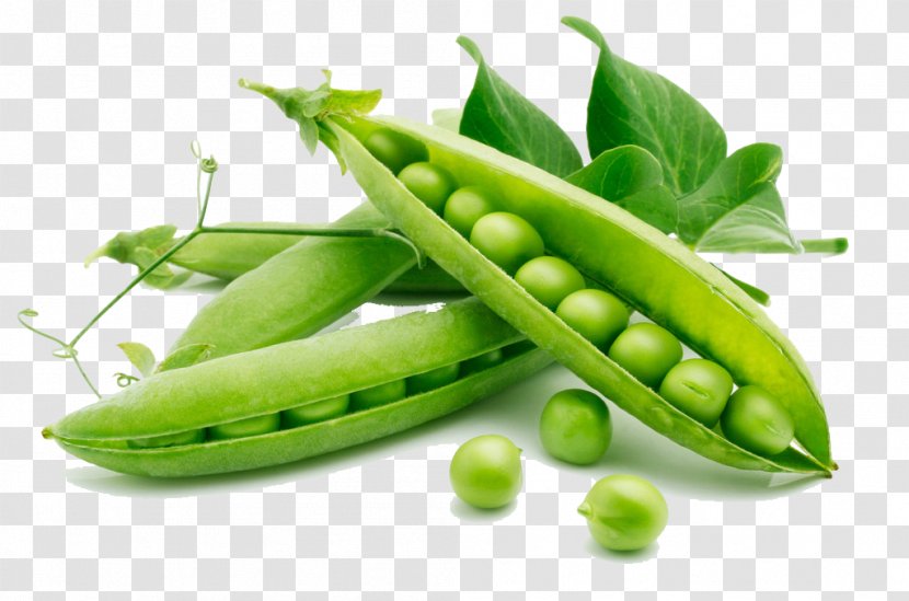 Snap Pea Vegetable Food Heirloom Plant - Diet Transparent PNG