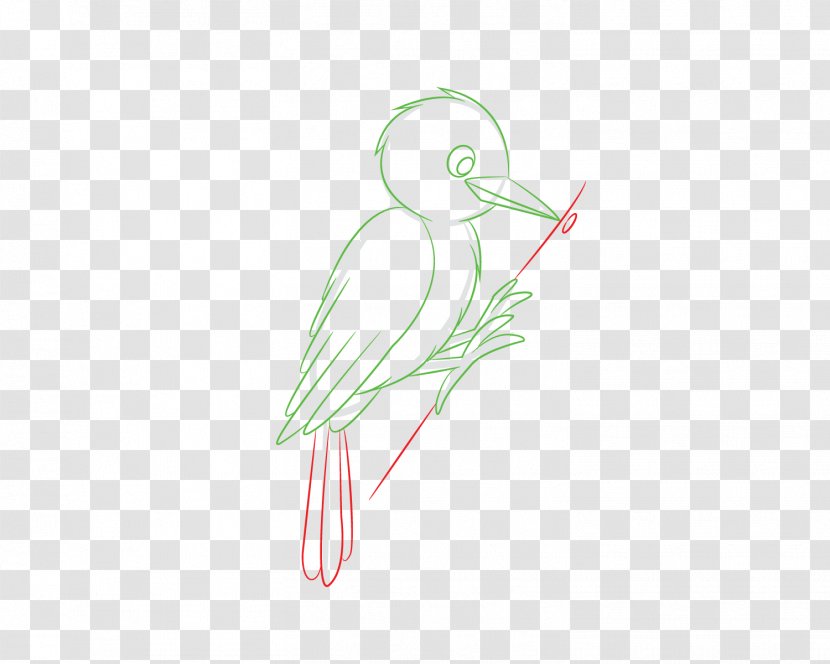 Beak Drawing Illustration /m/02csf Graphics - Flower - Bird Transparent PNG