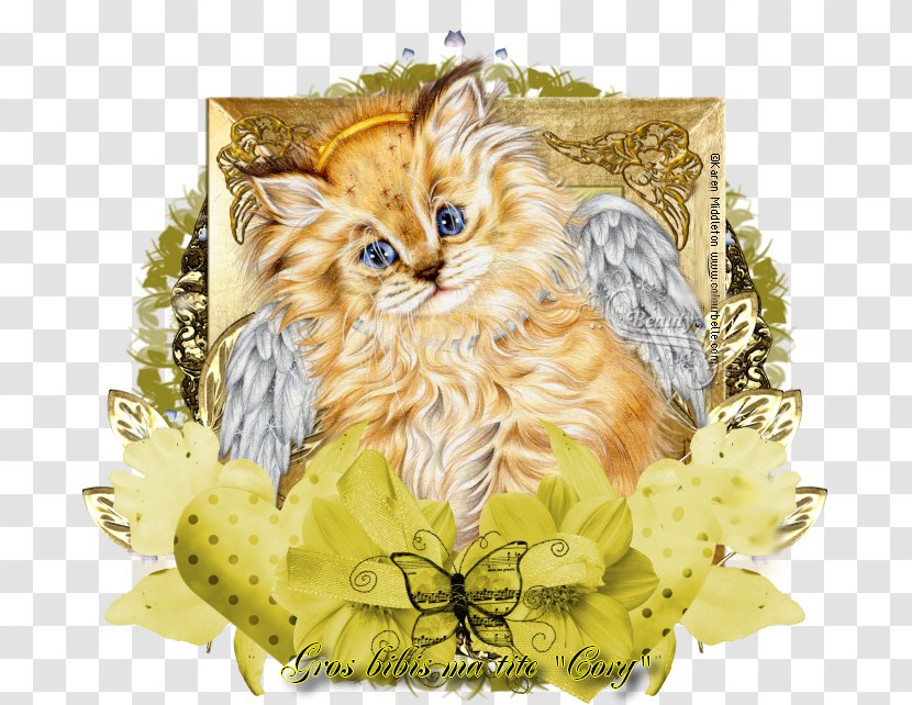 Kitten Maine Coon Whiskers Tabby Cat Maillochon Dominique Transparent PNG
