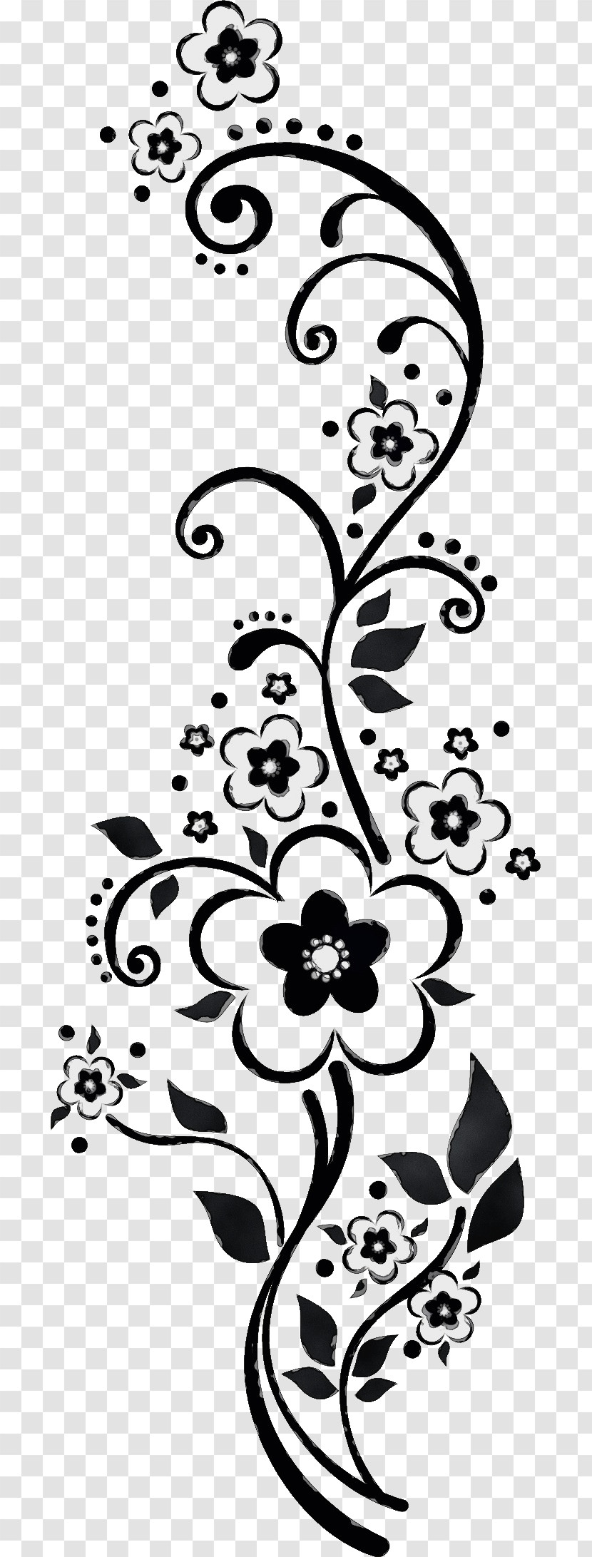 Floral Design Transparent PNG