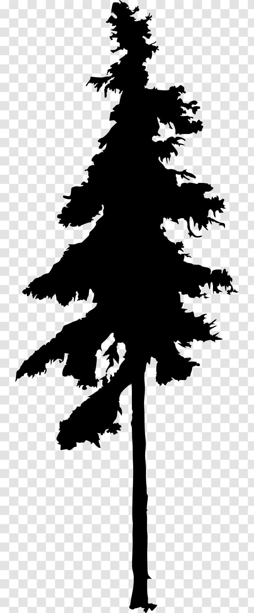 Fir Tree Drawing Silhouette Conifers - Plant Stem Transparent PNG