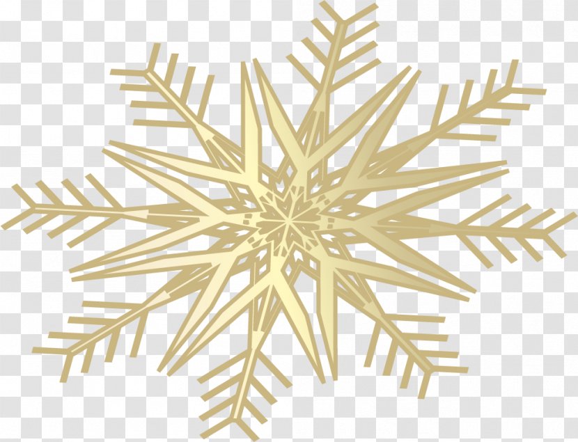 Snowflake Schema - Cartoon Golden Transparent PNG