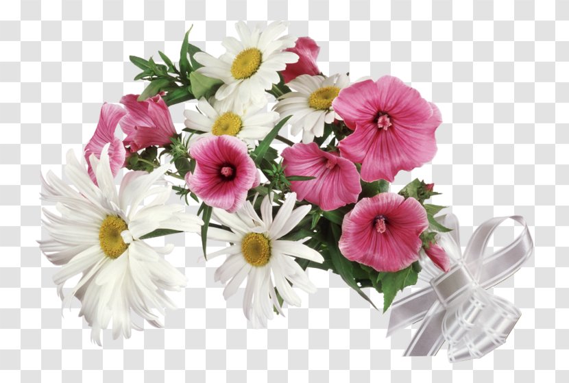 Image File Formats - Daisy Family - Flawar Transparent PNG