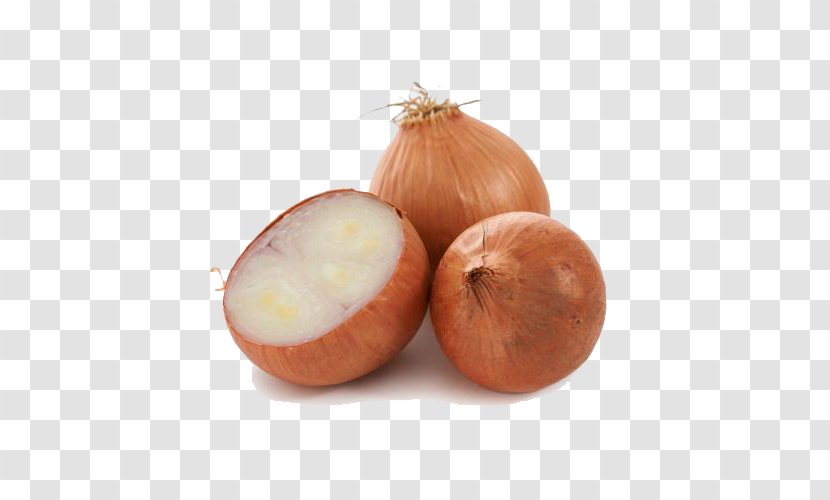 Yellow Onion Shallot Red Vegetable Transparent PNG