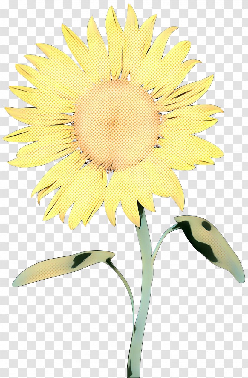 Cut Flowers Common Sunflower Floral Design Plant Stem Seed Transparent PNG
