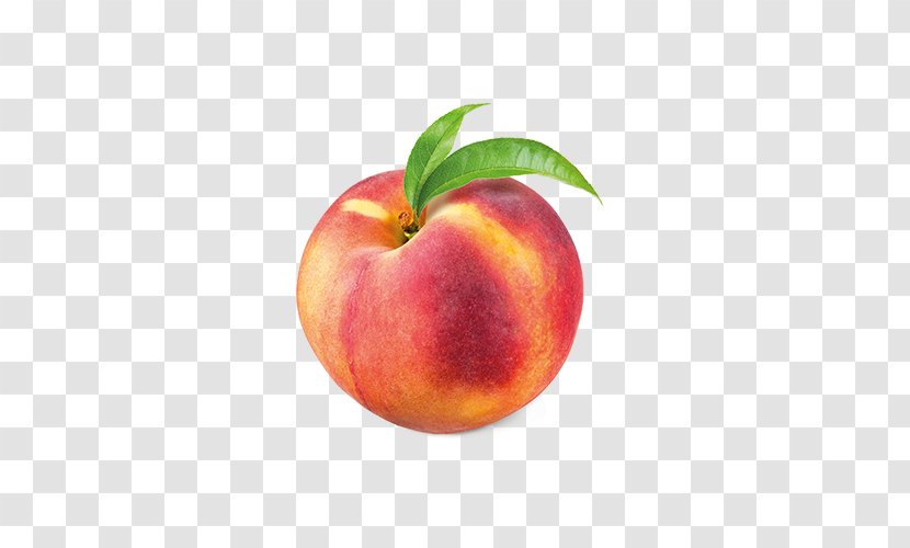 Juice Peaches And Cream Fruit Sangria - Grapefruit Transparent PNG