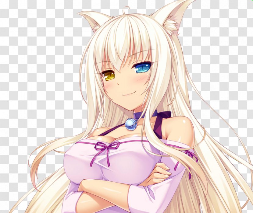 Nekopara Coconut Catgirl Neko Works - Cartoon Transparent PNG