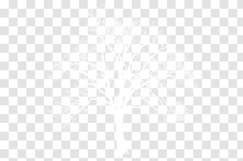 Black And White Line Angle Point - Rectangle - Snow Withered Tree Transparent PNG