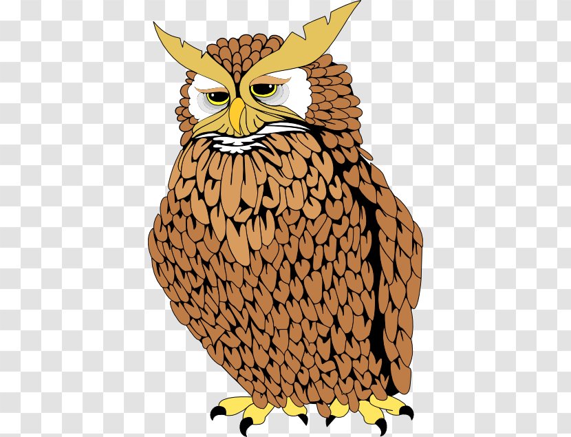 Owl Bird Bald Eagle Clip Art - Fat Peacock Cliparts Transparent PNG