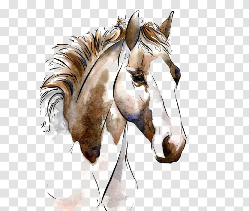 American Paint Horse Watercolor Painting Horses In Art Equestrianism - Mane Transparent PNG