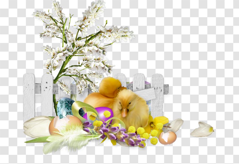 Chicken Easter Animation - Floristry - PASQUA Transparent PNG