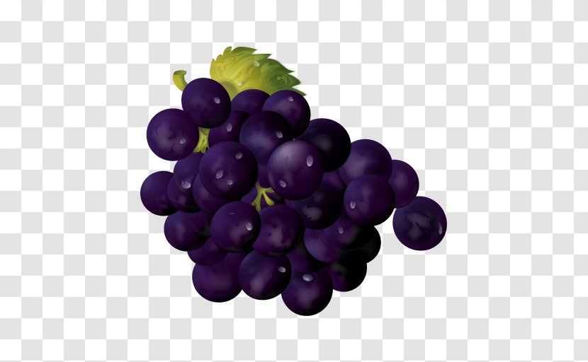 Vector Graphics Grape Jam - Zante Currant - Fruit Icon Transparent PNG