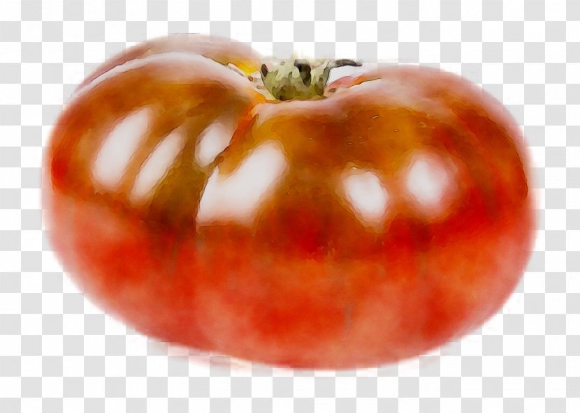 Plum Tomato Food Vegetarian Cuisine Bush - Vegetarianism - Vegan Nutrition Transparent PNG