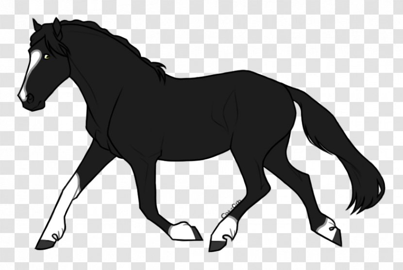 Stallion Mustang Pony Mare Foal - Black Transparent PNG