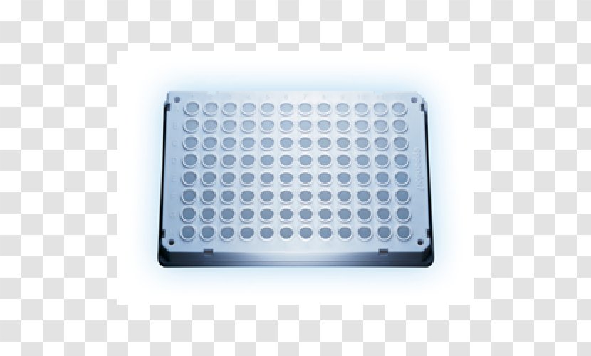 Real-time Polymerase Chain Reaction Reverse Transcriptase Medical Microbiology - Rectangle - Eppendorf Transparent PNG