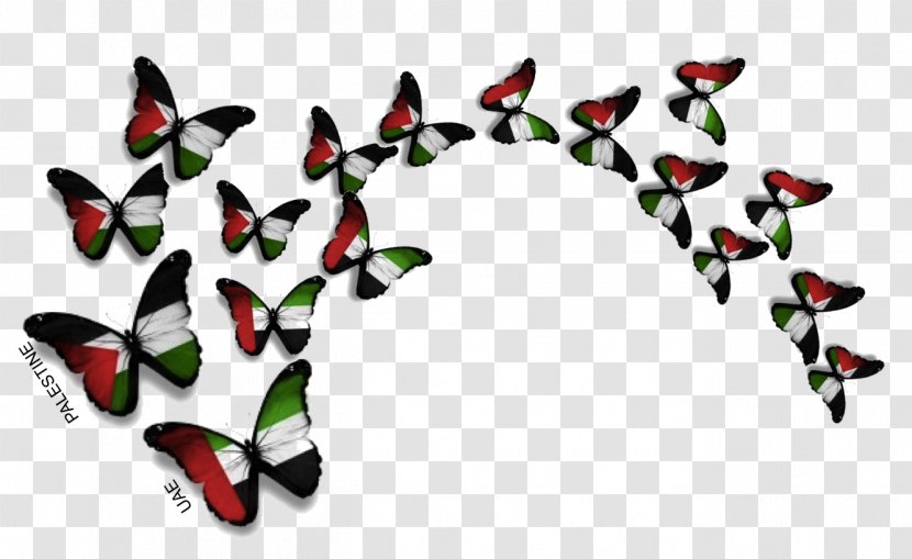 Dubai Baghdad Butterfly Palestine Intifada - Flag Of - Uae Transparent PNG