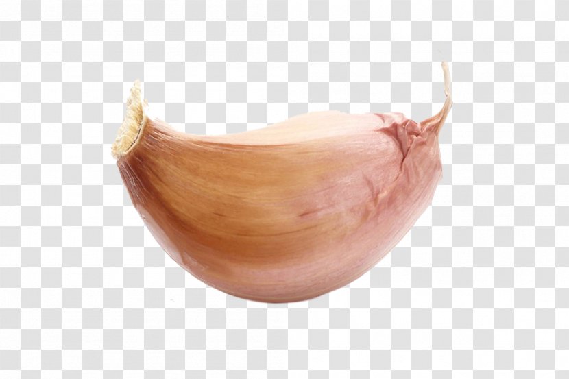 Solo Garlic Vegetable - Food - A Transparent PNG