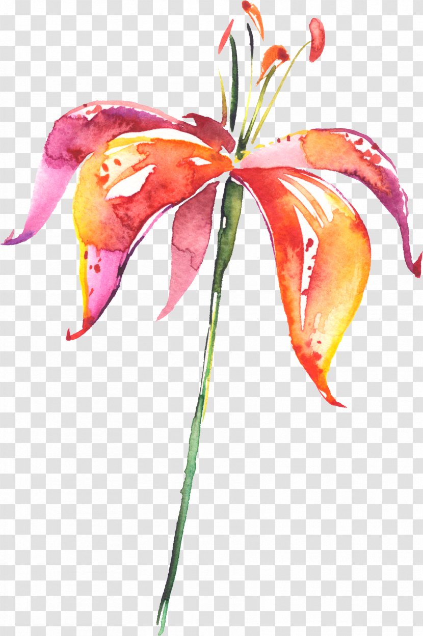 Lilium Flower Drawing Watercolor Painting - Line Art - Hand-painted Lily Transparent PNG