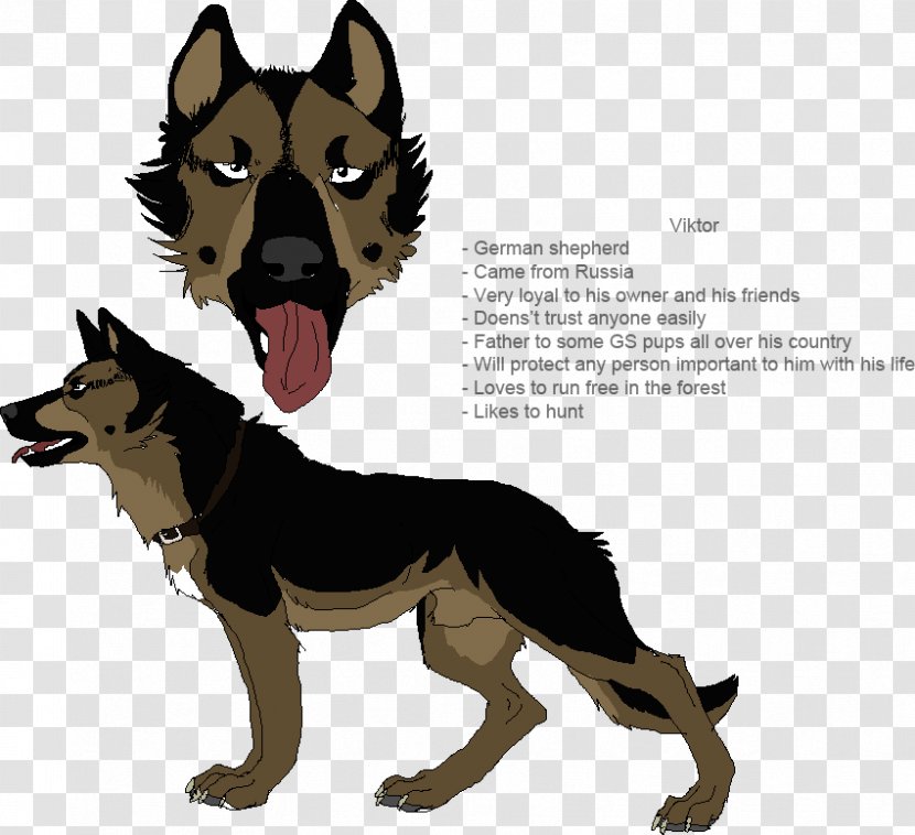 Dog Breed German Shepherd Leash Snout - War Transparent PNG