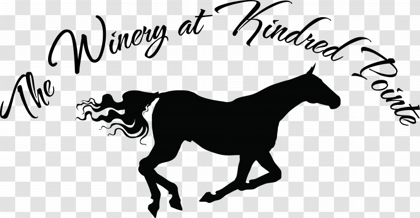 Mule Logo Horse - Mane Transparent PNG
