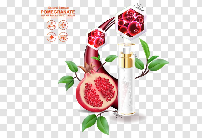 Pomegranate Skincare Vector Material - Smoothie - Juice Transparent PNG