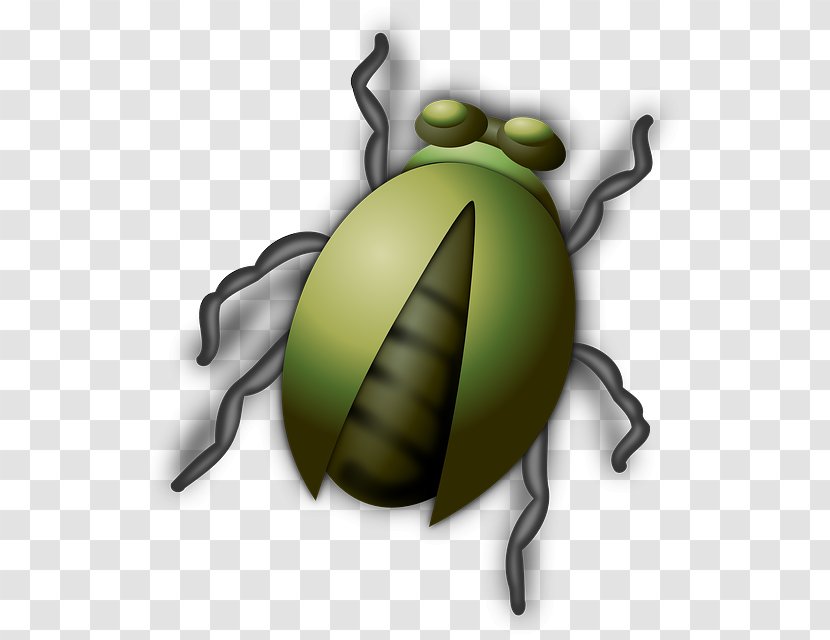 Beetle Clip Art - Pest - Bugs Transparent PNG
