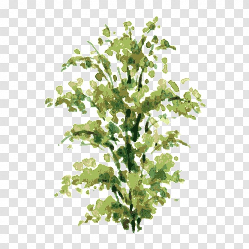 Watercolor Painting Shrub Drawing Illustration - Photography - Tree,Trees Transparent PNG