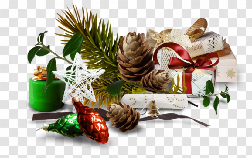 Christmas Ornaments Decoration - Conifer Cone Plant Transparent PNG