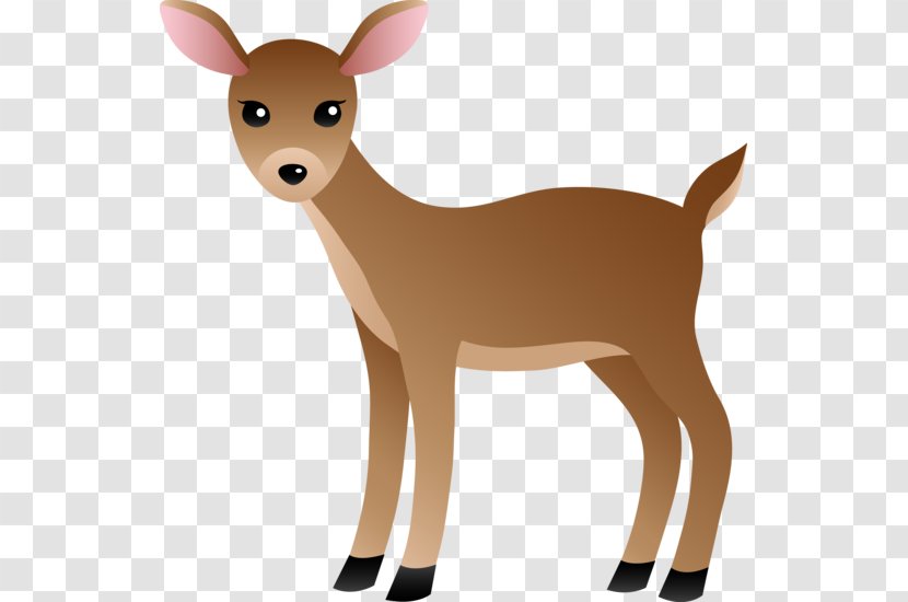 White-tailed Deer In The Woods Clip Art - White Tailed Transparent PNG