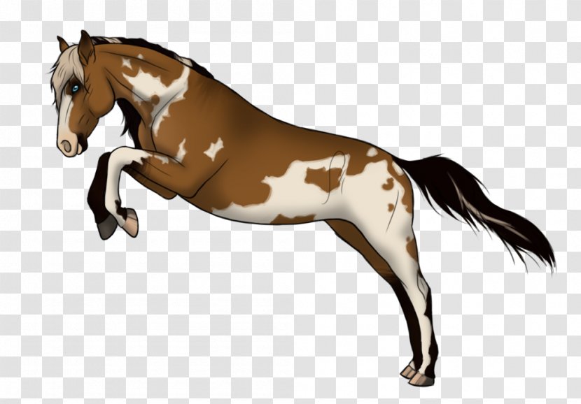 Mustang Foal Stallion Colt Mare - Mammal - Pearl Harbour Transparent PNG