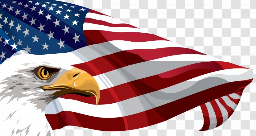 Flag Of The United States Clip Art - Presentation - American And Eagle Transparent Image Transparent PNG