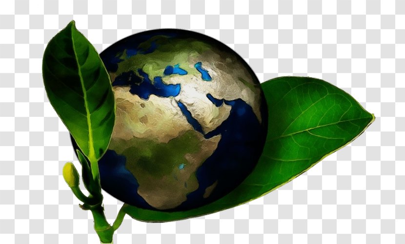 Leaf Earth Planet World Sphere - Interior Design Tree Transparent PNG