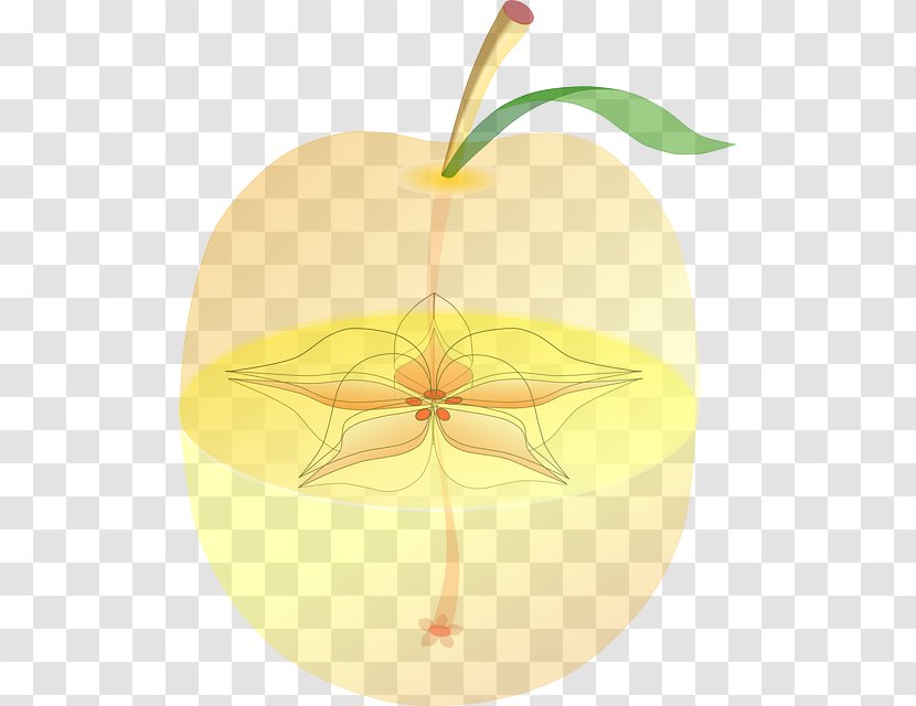 Paradise Apple Fruit Anatomy Seed - Plant Transparent PNG